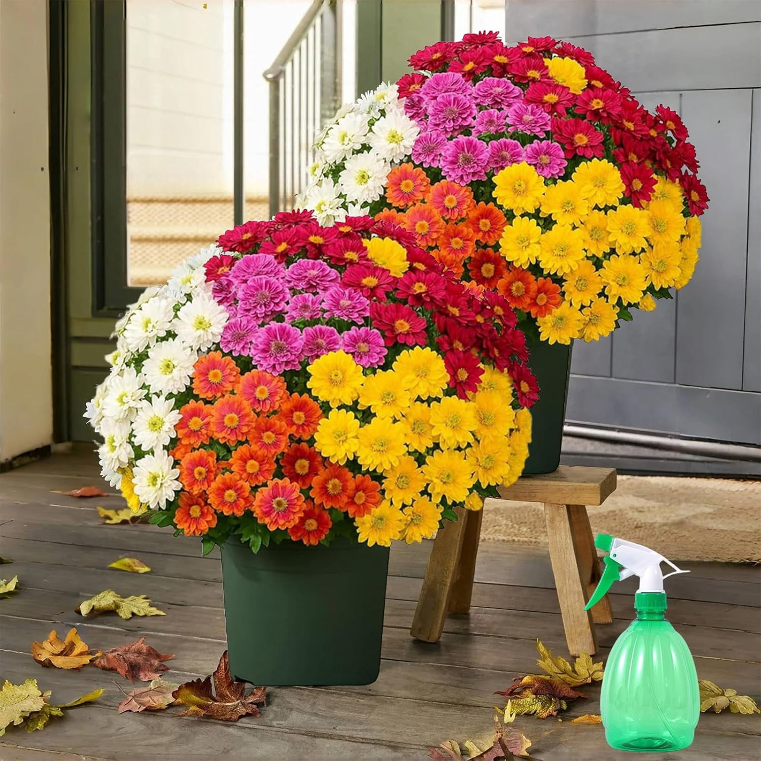 Artificial Mums For Front Porch