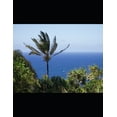 thumbnail image 1 of Perl Programming, (Paperback), 1 of 1