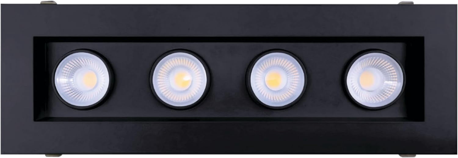 Perlglow 4 inch 4 Head Multiple Gimbal Black Downlight Luminaire LED ...