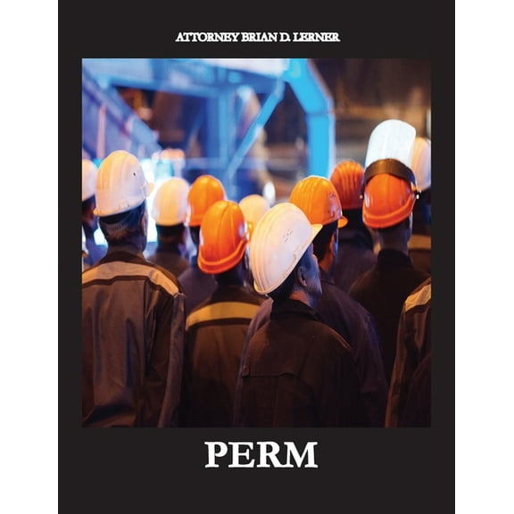 Perm: Electronic Labor Certifications for Employment Petitions, (Paperback)