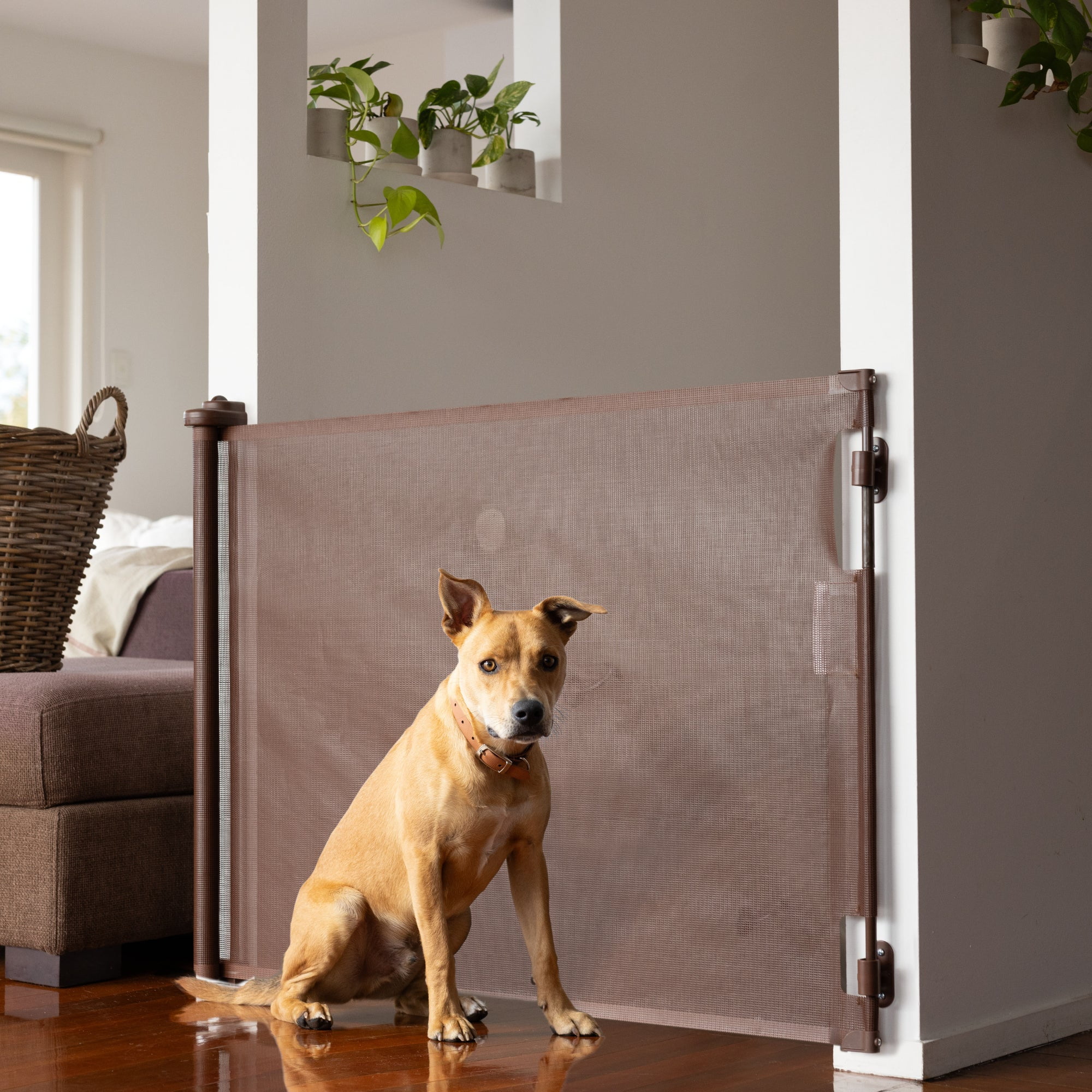 Bindaboo retractable dog gate online