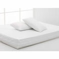 thumbnail image 1 of Permafresh Bed Bug and Dust Mite Control Water-Resistant Polypropylene Basic Bed Protector Set, 1 of 5