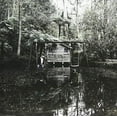 thumbnail image 1 of Permanence, 1 of 1