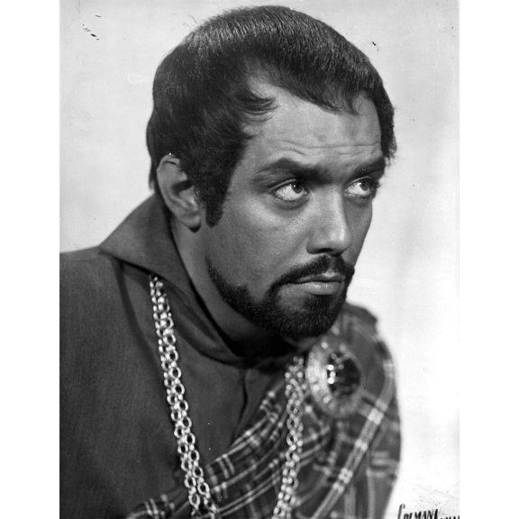 Pernell Roberts with a beard and a necklace Photo Print (24 x 30)