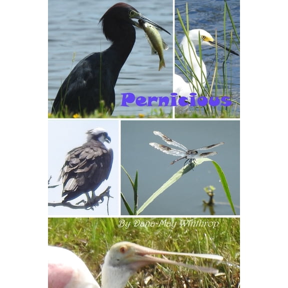 Pernicious (Paperback)