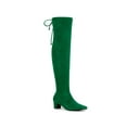 thumbnail image 1 of BLISSFUL STEP  Women's Boot  Faux Suede Thigh High Chunky Heel Square Toe Back Lace Up Side Zipper Boots Green 9, 1 of 7
