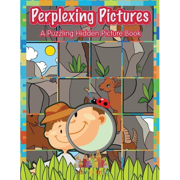 Perplexing Pictures: A Puzzling Hidden Picture Book, (Paperback)