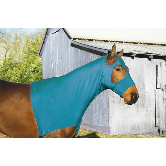 Perri's 3-Season Lycra Mane Hood (Teal, XL)