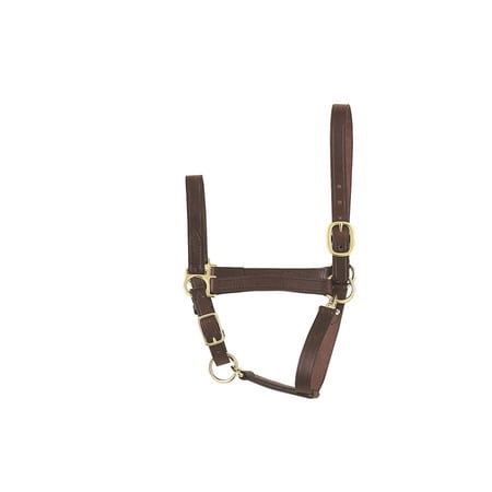 Perri's Economy Leather Halter (Havana, Yearling)