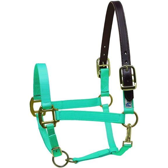 Perri's Premium Nylon Safety Halter (Turqouise, Pony)