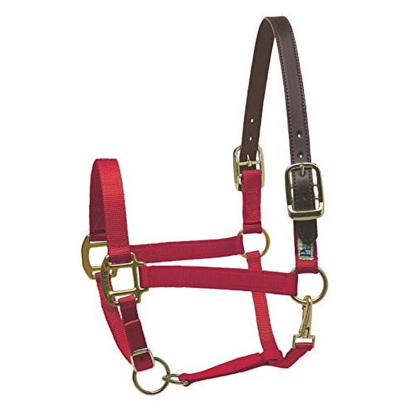 Perri's Safety Halter