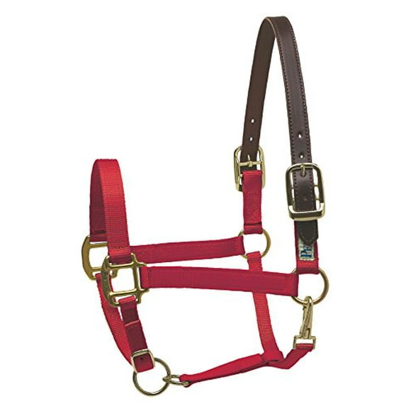 Perri's Safety Halter