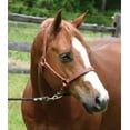 thumbnail image 1 of Perri's Value Leather Halter Chestnut Size: Cob, 1 of 1