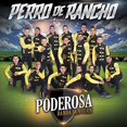 thumbnail image 1 of Perro De Rancho, 1 of 1