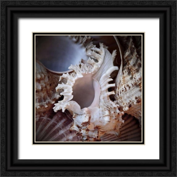 Perry, Rachel 12x12 Black Ornate Wood Framed with Double Matting Museum Art Print Titled - Macro Shells II
