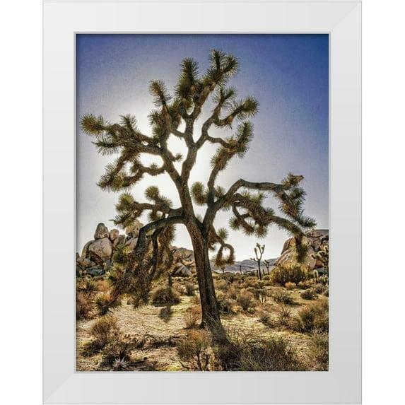 Perry, Rachel 12x14 White Modern Wood Framed Museum Art Print Titled - Views of Joshua Tree I