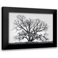 thumbnail image 1 of Perry, Rachel 14x11 Black Modern Framed Museum Art Print Titled - Grand Oak Tree I, 1 of 5