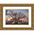 thumbnail image 1 of Perry, Rachel 14x11 Gold Ornate Wood Framed with Double Matting Museum Art Print Titled - Grand Oak Tree II, 1 of 4