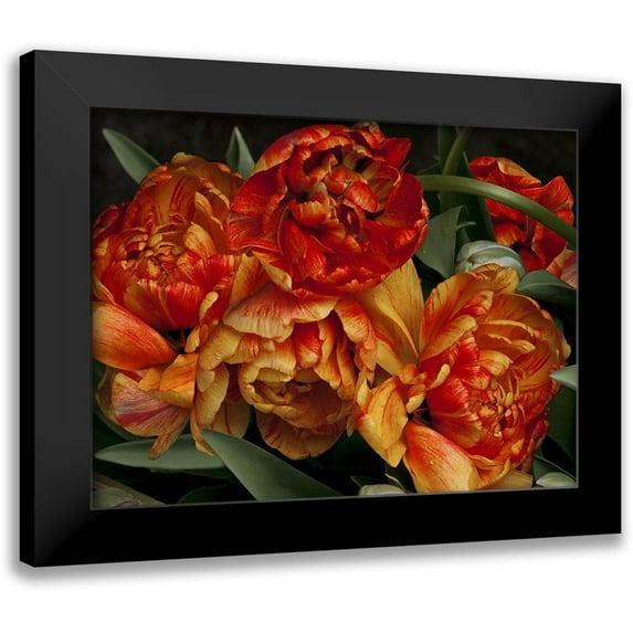 Perry, Rachel 14x12 Black Modern Framed Museum Art Print Titled - Old World Tulips I