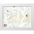 thumbnail image 1 of Perry, Rachel 14x12 White Modern Wood Framed Museum Art Print Titled - White Linen Peony I, 1 of 4
