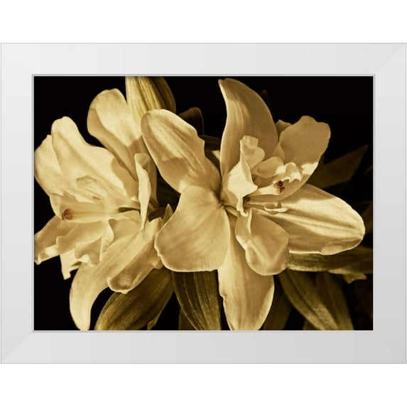 Perry, Rachel 14x12 White Modern Wood Framed Museum Art Print Titled - Yvoire Flower II