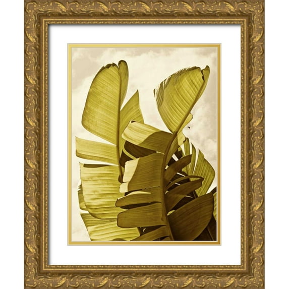 Perry, Rachel 15x18 Gold Ornate Wood Framed with Double Matting Museum Art Print Titled - Palm Fronds III