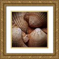 thumbnail image 1 of Perry, Rachel 20x20 Gold Ornate Wood Framed with Double Matting Museum Art Print Titled - Macro Shells VI, 1 of 4