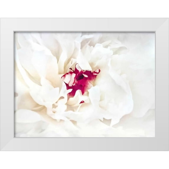 Perry, Rachel 32x25 White Modern Wood Framed Museum Art Print Titled - White Linen Peony II