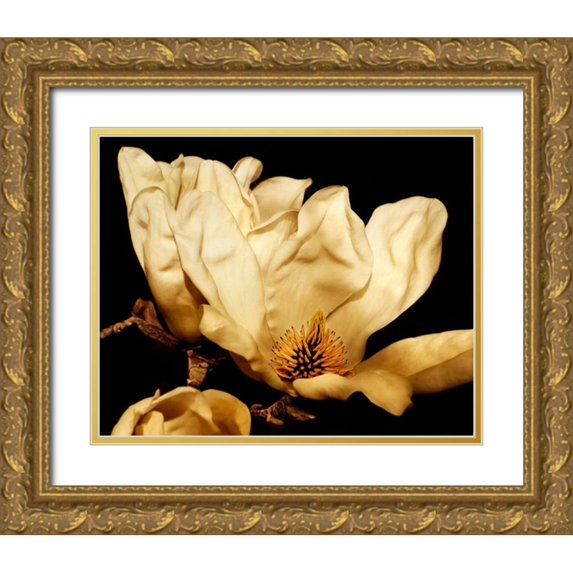 Perry, Rachel 32x26 Gold Ornate Wood Framed with Double Matting Museum Art Print Titled - Buttercream Magnolia II