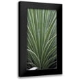 thumbnail image 1 of Perry, Rachel 9x14 Black Modern Framed Museum Art Print Titled - Cactus Celery, 1 of 5