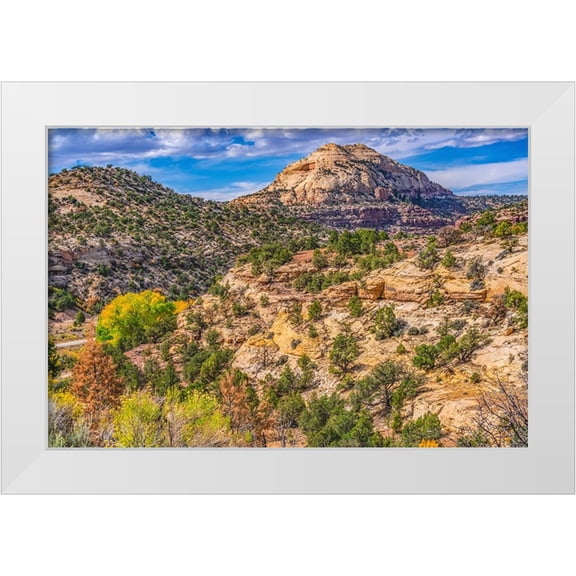Perry, William 14x11 White Modern Wood Framed Museum Art Print Titled - Colorful Autumn-Canyonlands National Park-Needles District-Utah
