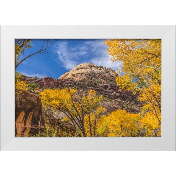 Perry, William 14x11 White Modern Wood Framed Museum Art Print Titled - Colorful yellow cottonwood trees-Canyonlands National Park-Needles District-Utah