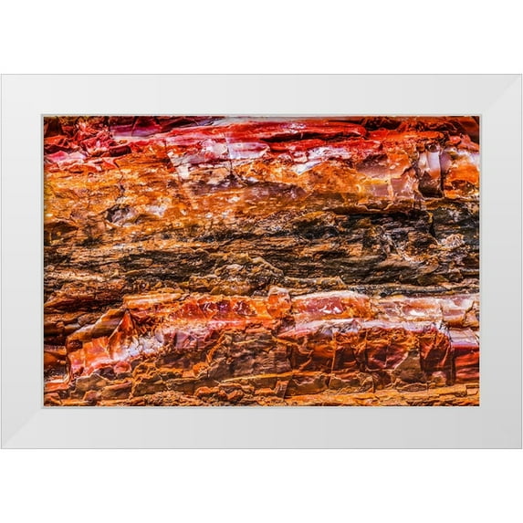 Perry, William 18x13 White Modern Wood Framed Museum Art Print Titled - Red-orange and yellow petrified wood abstract-Blue Mesa-Petrified Forest National Park-Arizona