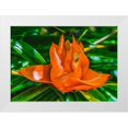 thumbnail image 1 of Perry, William 18x14 White Modern Wood Framed Museum Art Print Titled - Colorful orange flower-Florida-Pandanus produces and edible fruit, 1 of 4