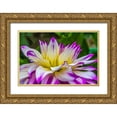 thumbnail image 1 of Perry, William 32x23 Gold Ornate Wood Framed with Double Matting Museum Art Print Titled - Blue purple white Dinnerplate AA dahlia blooming-Dahlia named Ferncliff Illusion, 1 of 4