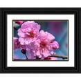 thumbnail image 1 of Perry, William 32x24 Black Ornate Wood Framed with Double Matting Museum Art Print Titled - Pink peach flowering fruit tree-Bellevue-Washington State, 1 of 4