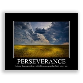 Perseverance Demotivational Poster Ironic Snarky Funny Sarcastic Office Wall Decor Art Print