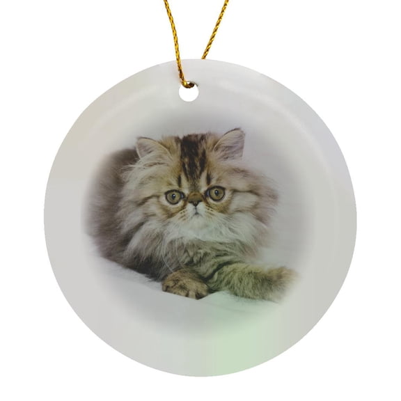 3drose, Persian Cat, Brown Tabby, Hill Country, Texas - Na02 Rnu0725 - Rolf Nussbaumer, Circle Porcelain Ornament