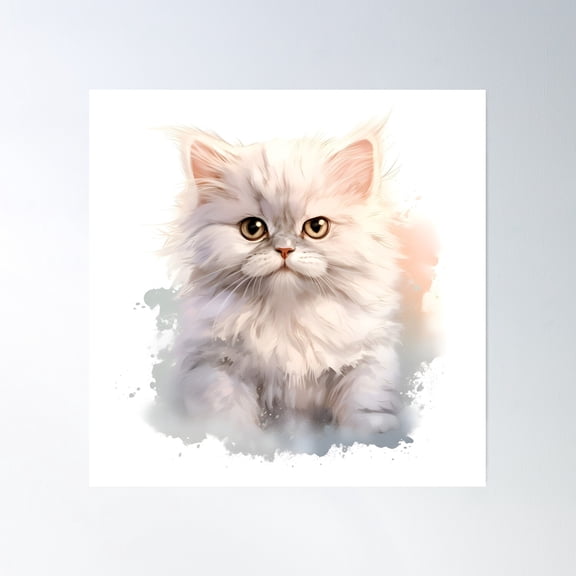 Persian Cat Poster Wall Art, Modern Wall Decor, 16x16 UNFRAMED