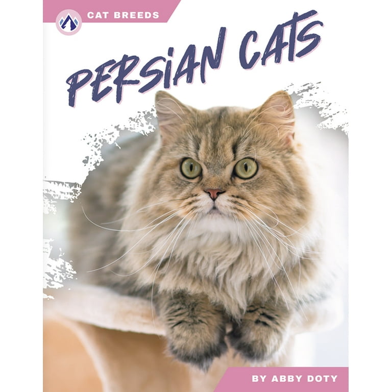 Persian Cats 10 Fun Facts About Cats Persian Cats, (Paperback)
