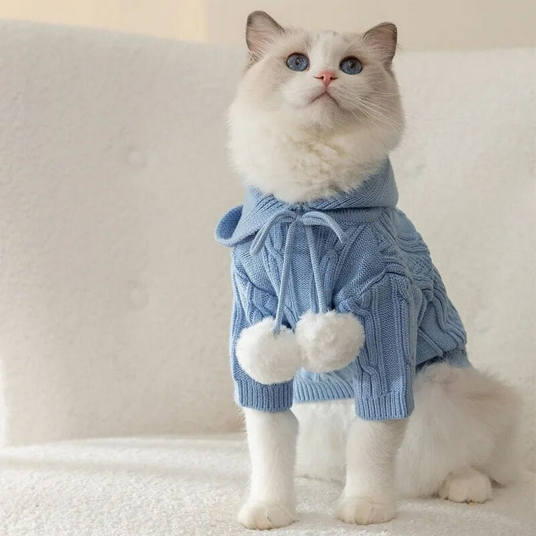 Persian clearance cat sweater