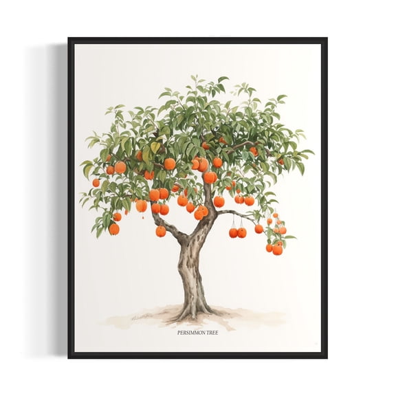 Persimmon Tree Botanical Poster, Fruit Tree Wall Art Print