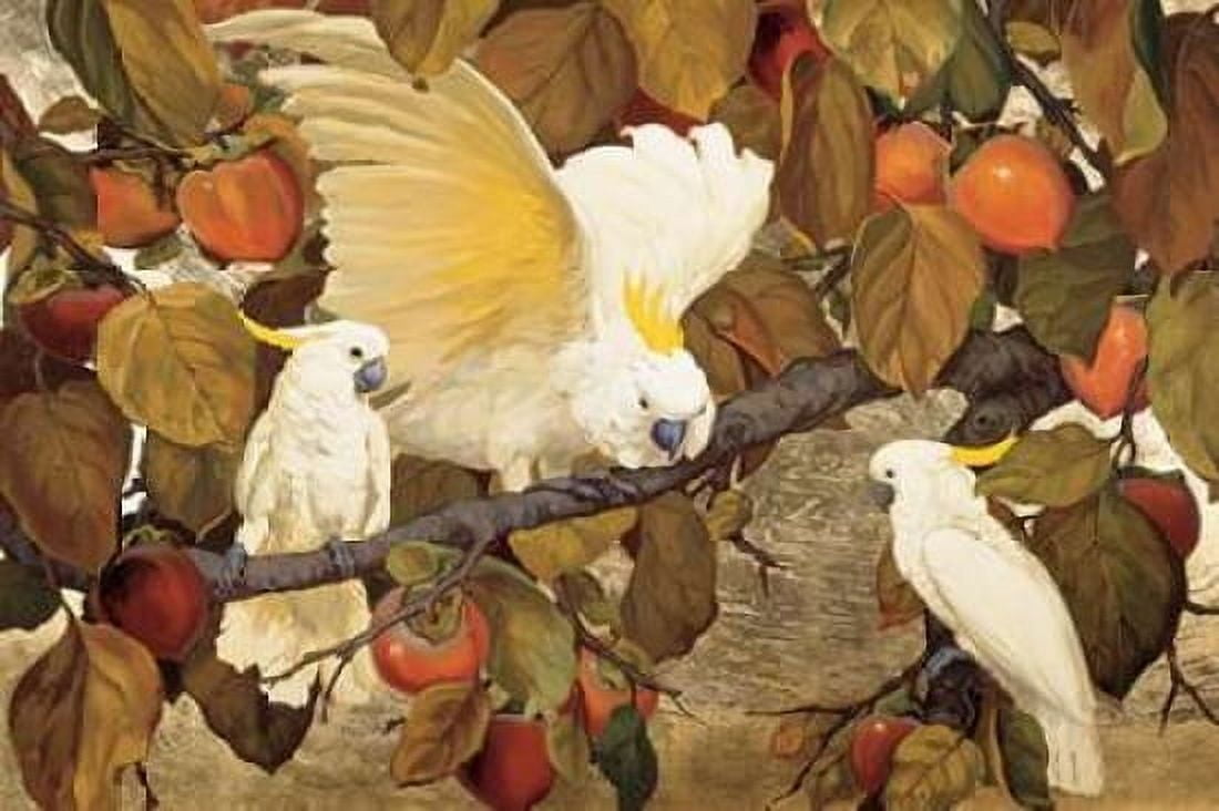 Persimmons and Cockatoos Canvas Art - Jesse Arms Botke (24X36)