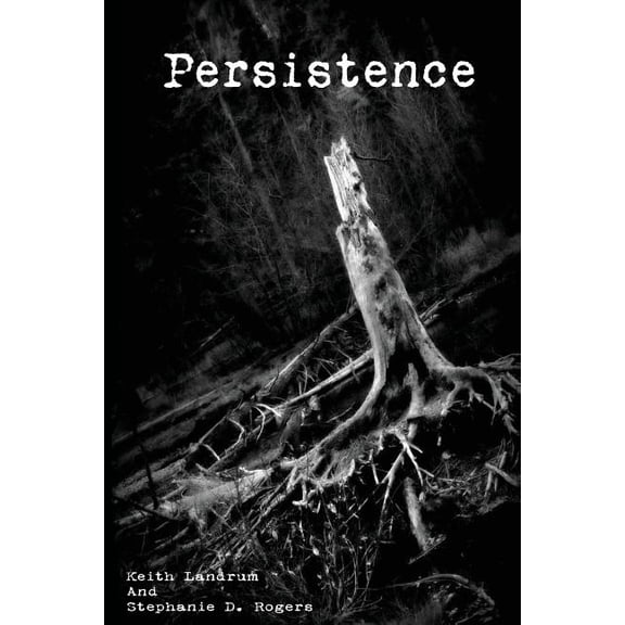 Persistence Paperback 1484903412 9781484903414 Keith Landrum, Stephanie D. Rogers