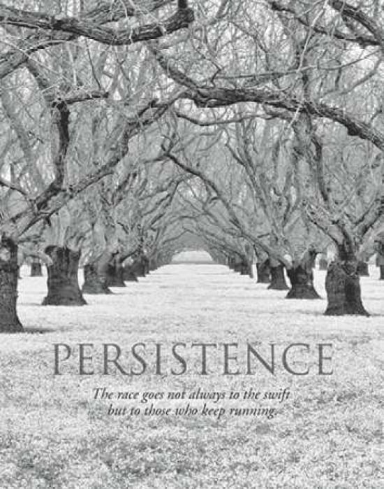 Persistence Canvas Art - Dennis Frates (22 x 28)