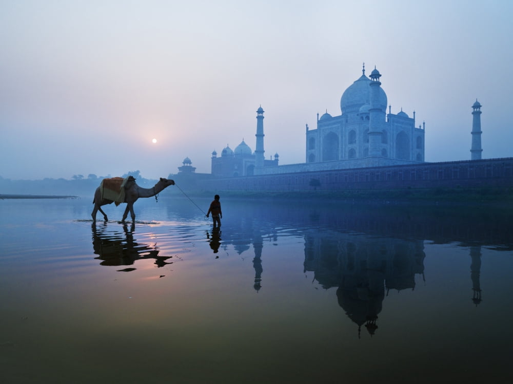 Person And Camel In Front Of Taj Mahal Agra India Canvas Art - Keith Levit Design Pics (18 x 13)