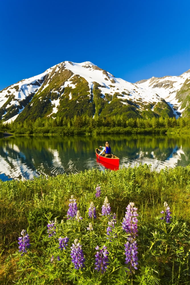 Person Canoeing In Small Lake In Portage Valley Of Chugach National Forest During Spring In Southcentral Alaska Canvas Art - Michael DeYoung Design Pics (11 x 17)