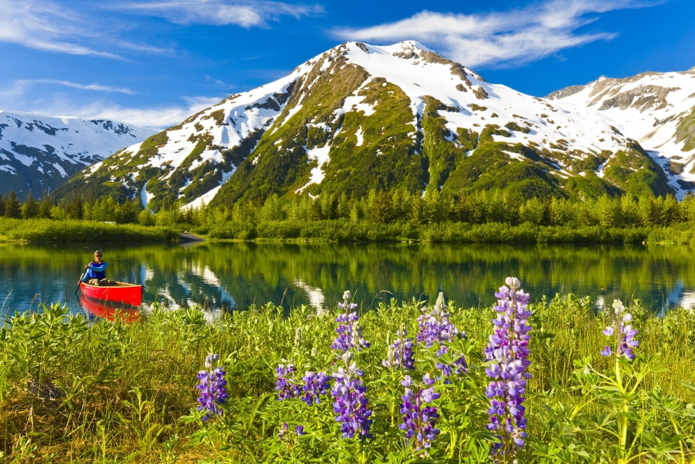 Person Canoeing In Small Lake In Portage Valley Of Chugach National Forest During Spring In Southcentral Alaska Canvas Art - Michael DeYoung Design Pics (34 x 22)