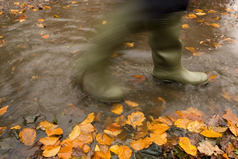 Person In Motion Walks Through Puddle Filled With Autumn Leaves Canvas Art - John Short Design Pics (36 x 24)