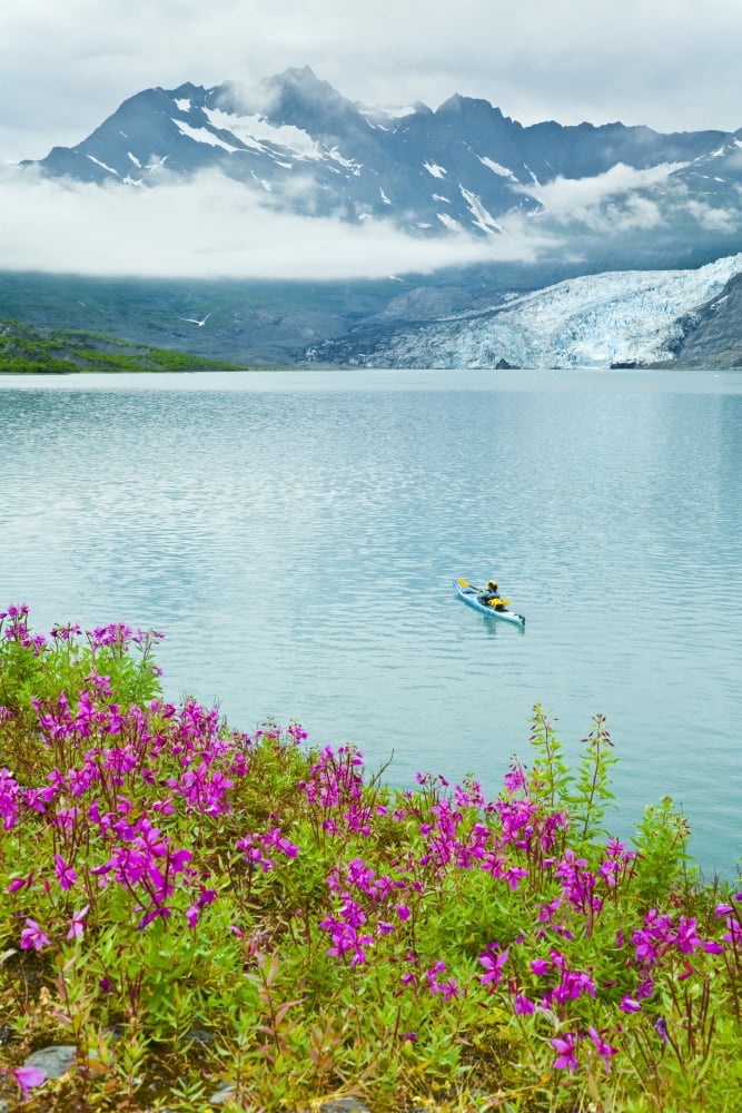 Person Sea Kayaking In Shoup Bay In Prince William Sound Southcentral Alaska Canvas Art - Michael DeYoung Design Pics (11 x 17)